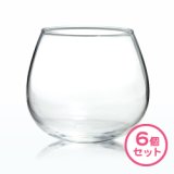 ブラブラタンブラー 495ml　6個