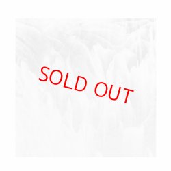 画像1: 2130 クリア・ホワイト【20cm角 3mm不透明】