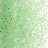 【中フリット50g】  1107 Light Green