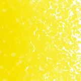 【中フリット50g】  0120 Canary Yellow