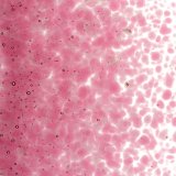 【中フリット50g】  1215 Light Pink