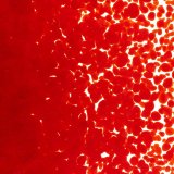 【中フリット50g】  0124 Red
