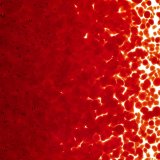 【中フリット50g】  1122 Red
