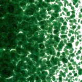 【中フリット50g】  1112 Aventurine Green