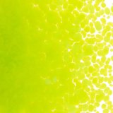 【中フリット50g】  0126 Spring Green