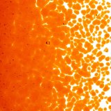 【中フリット50g】  1125 Orange