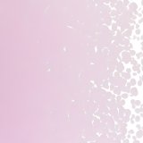 【中フリット50g】  0421 Petarl Pink