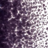 【中フリット50g】   1128 Deep Royal Purple