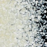【中フリット50g】  0137 French Vanilla