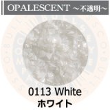 【中フリット50g】  0113 White