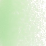 【中フリット50g】  0112 Mint Green