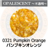 【中フリット50g】  0321 Pumpkin Orange