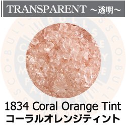 画像1: 【中フリット50g】  1834 Coral Orange Tint