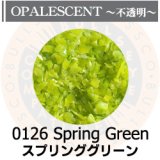 【中フリット50g】  0126 Spring Green