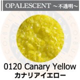 【中フリット50g】  0120 Canary Yellow