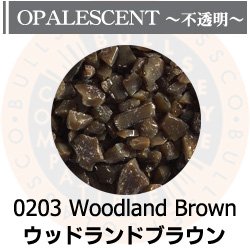 画像1: 【粗フリット50g】  0203 Woodland Brown