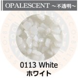 【粗フリット50g】  0113 White