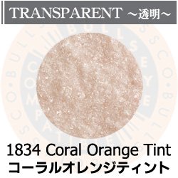 画像1: 【細フリット50g】  1834 Coral Orange Tint