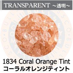 画像1: 【粗フリット50g】  1834 Coral Orange Tint