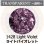 画像1: 【粗フリット50g】  1428 Light Violet (1)