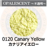パウダー50g 0120 Canary Yellow