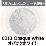パウダー50g 0013 Opaque White