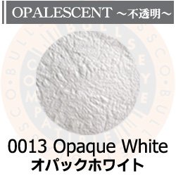 画像1: パウダー50g 0013 Opaque White