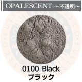 パウダー50g 0100 Black