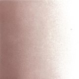 パウダー50g 1405 Light Plum