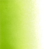 パウダー50g 1426 Spring Green