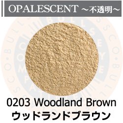 画像1: パウダー50g 0203 Woodland Brown