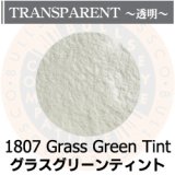 パウダー50g 1807 Grass Green Tint