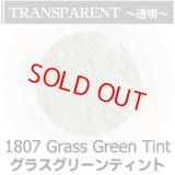 パウダー50g 1807 Grass Green Tint