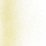 パウダー50g 1437 Light Amber