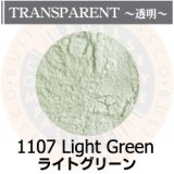 パウダー50g 1107 Light Green