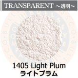 パウダー50g 1405 Light Plum