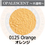 パウダー50g 0125 Orange