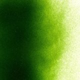 パウダー50g 1412 Light Aventurine Green