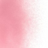 パウダー50g 1824 Ruby Red Tint