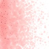 【中フリット50g】  1824 Ruby Red Tint