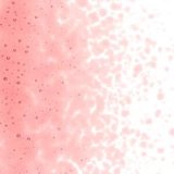 【中フリット50g】  1823 Burnt Scarlet Tint