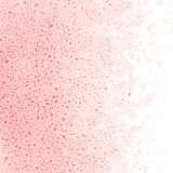 【細フリット50g】  1824 Ruby Red Tint