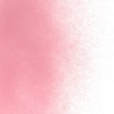 パウダー50g 1823 Burnt Scaret Tint