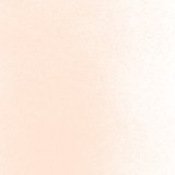 パウダー50g 1834 Coral Orange Tint