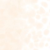 【粗フリット50g】  1834 Coral Orange Tint