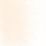 【細フリット50g】  1834 Coral Orange Tint