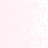【粗フリット50g】  1821 Erbium Pink Tint