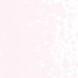画像1: 【粗フリット50g】  1821 Erbium Pink Tint