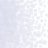 【粗フリット50g】 1842 Light Neo-Lavender Tint