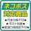 画像2: ブルズアイ 0145 ジェイドグリーン【10cm角 2mm不透明】 (2)